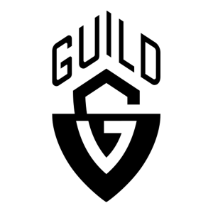 Guild/Godin